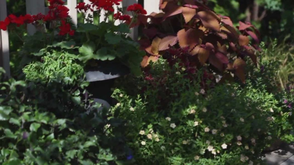 Patio Designs - Tips for Backyard Landscaping