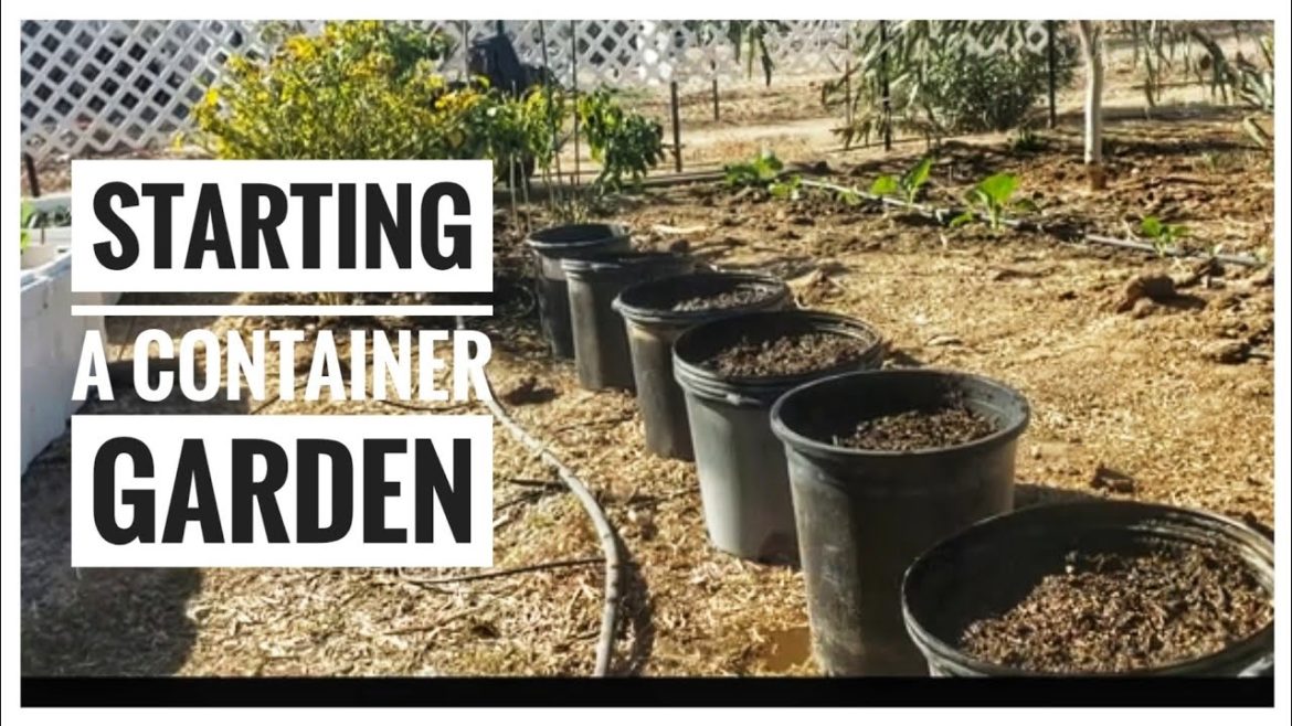 Starting a Container Garden 2021 Starting a Container Garden 2021