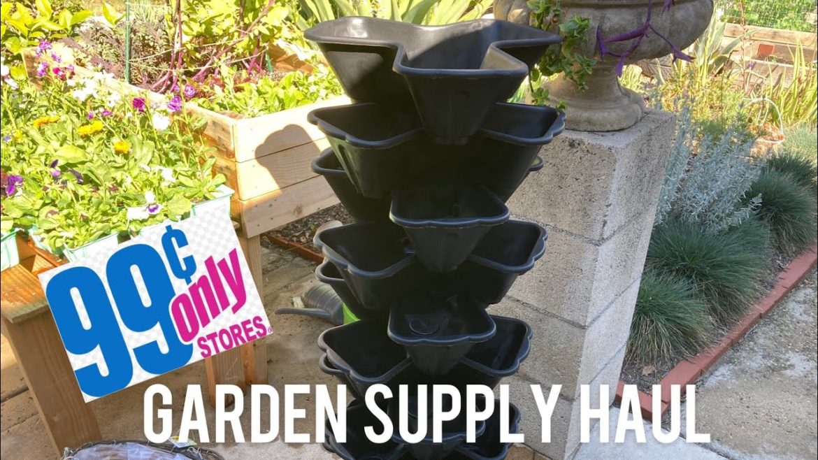 99¢Only Store Garden Supply Haul