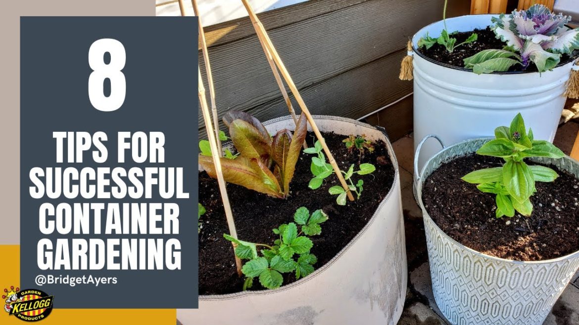 Container Gardening Tips For Beginners π±π»π¦ Container Gardening Tips For Beginners π±π»π¦