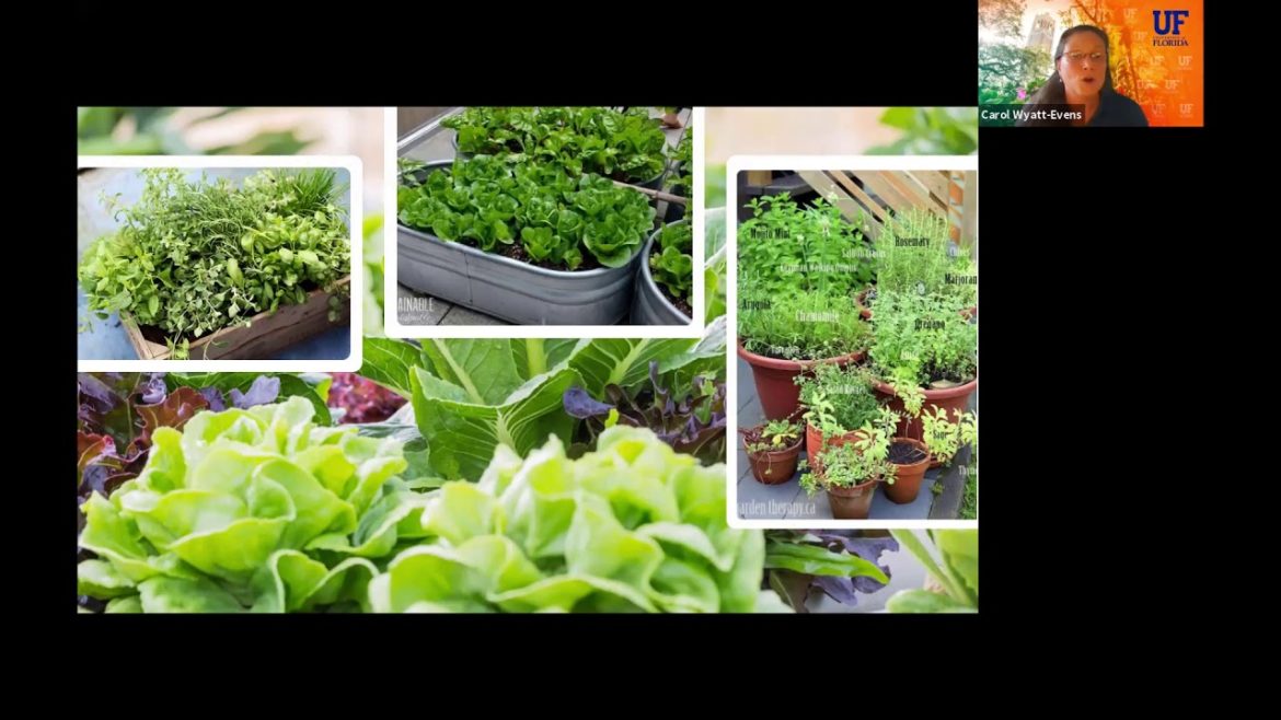 Edible Gardening: Growing on Your Lanai (webinar series)