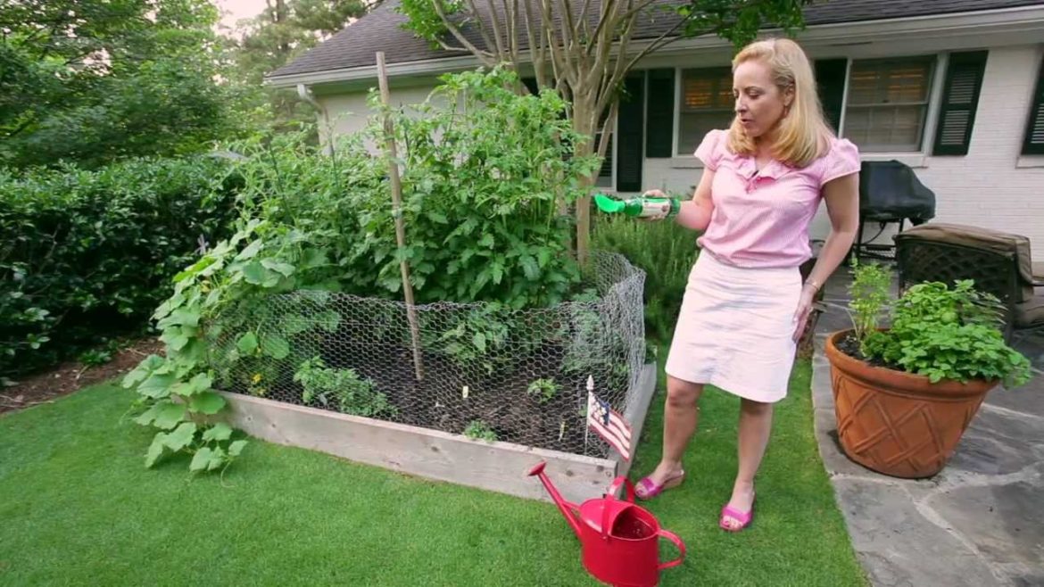 Gardenieres: Southern Style Vegetable Gardening Gardenieres: Southern Style Vegetable Gardening