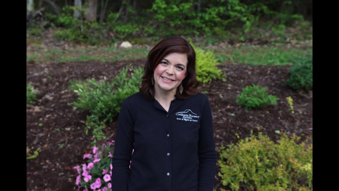 Gardening Tips for Hanging Basket | Gardening with Creekside