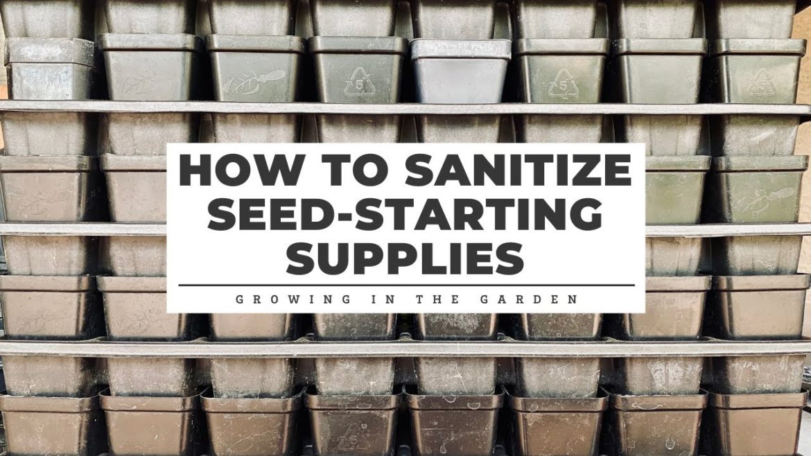 How to Sanitize Seed-Starting Supplies: Gardening Tips for Beginners