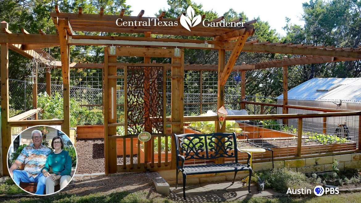Enclosed Raised Bed Garden Design | Peggy Jones Enclosed Raised Bed Garden Design | Peggy Jones