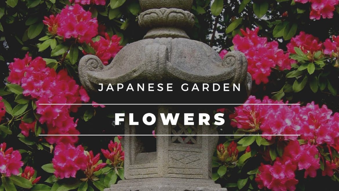 The Best Japanese Garden Flowers | Flowering Trees and Flowering Shrubs The Best Japanese Garden Flowers | Flowering Trees and Flowering Shrubs