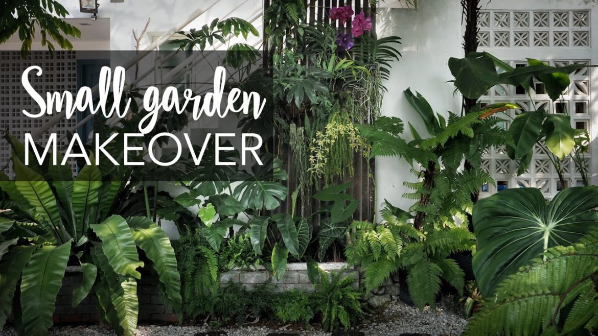 Small tropical garden (20sqft) makeover with 10 Pro Gardening Tips Small tropical garden (20sqft) makeover with 10 Pro Gardening Tips