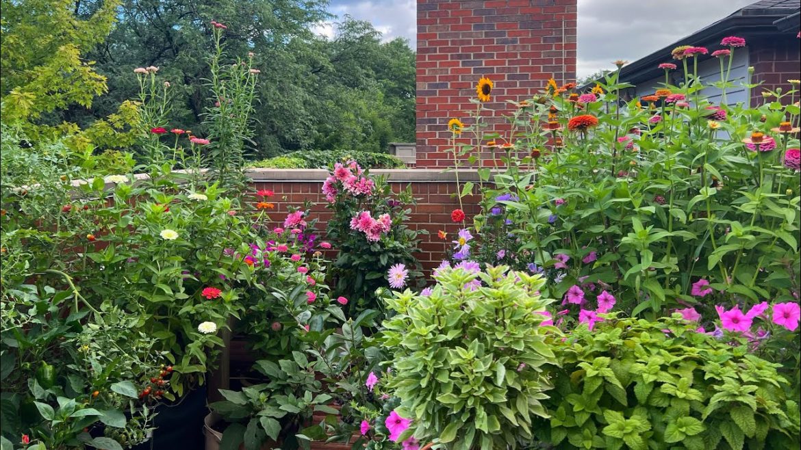 My 2023 Garden Plans | Chicago Container Gardening