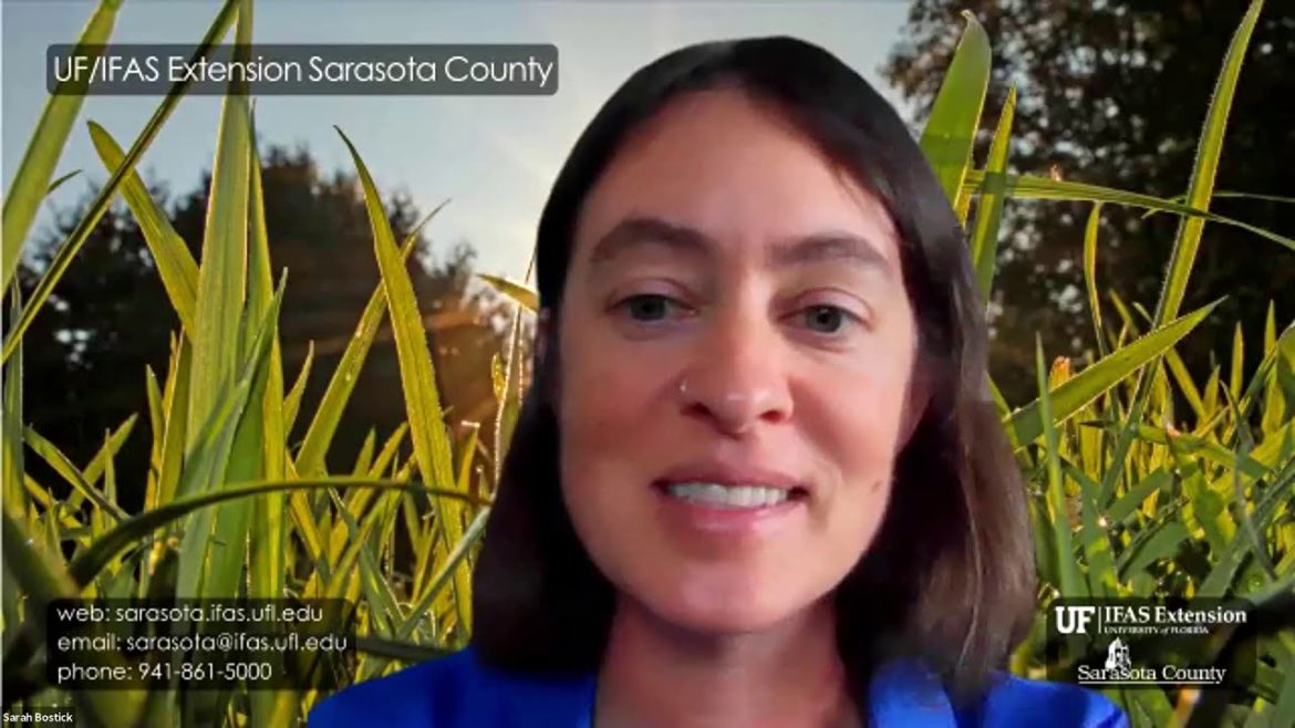 Edible Gardening: Nematodes (webinar series)