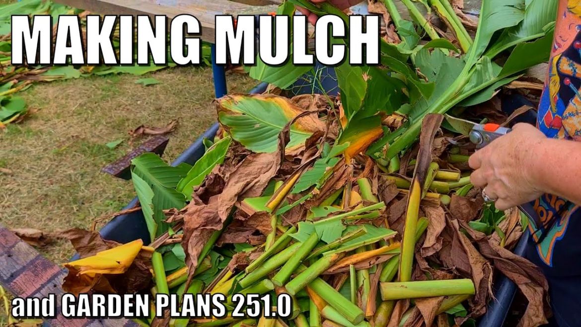 Potted Ginger, Making Mulch, & Garden Plans 251.0 π€ Potted Ginger, Making Mulch, & Garden Plans 251.0 π€