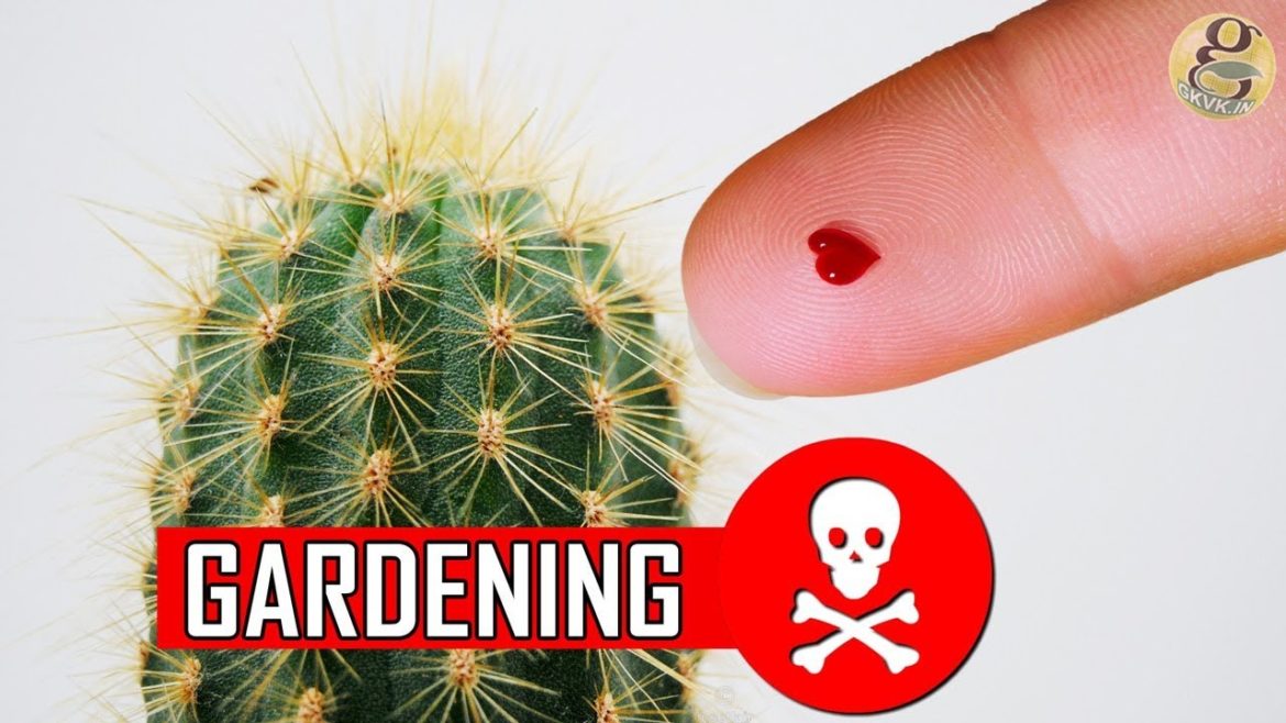 15 Most Useful Gardening Safety Tips – Precautions and Protection 15 Most Useful Gardening Safety Tips - Precautions and Protection