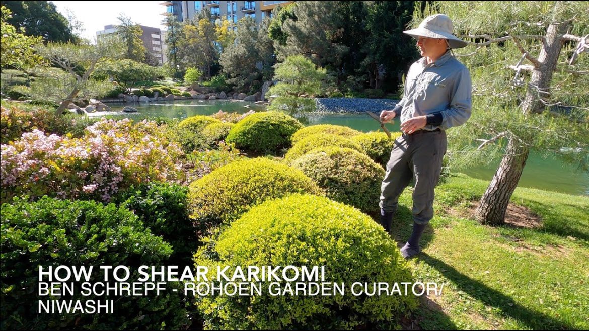 Japanese Gardening Techniques – How to Shear Karikomi and Tamamono Shrubs Japanese Gardening Techniques - How to Shear Karikomi and Tamamono Shrubs