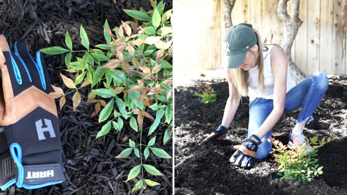 SMALL FRONT YARD LANDSCAPING IDEAS // DIY FRONT YARD MAKEOVER SMALL FRONT YARD LANDSCAPING IDEAS // DIY FRONT YARD MAKEOVER