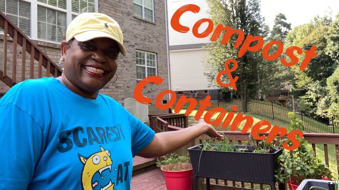 How and When I use Compost in Container Gardening