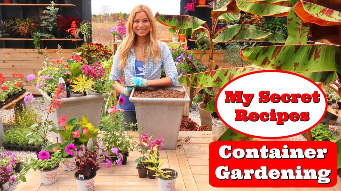 Container Gardening Recipe |  Flowering & for SUN | Purple, Orange & Lime // Garden Farm
