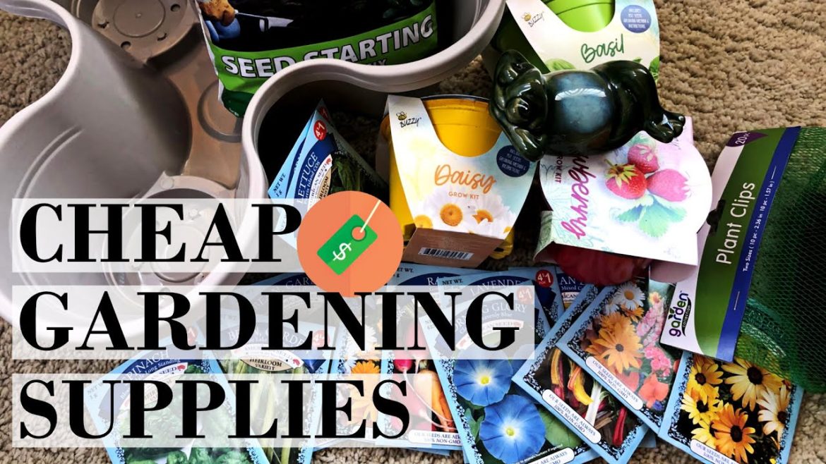 How to Start a Garden Cheap| Dollar Tree Gardening Supplies| Cheap Gardening Supplies