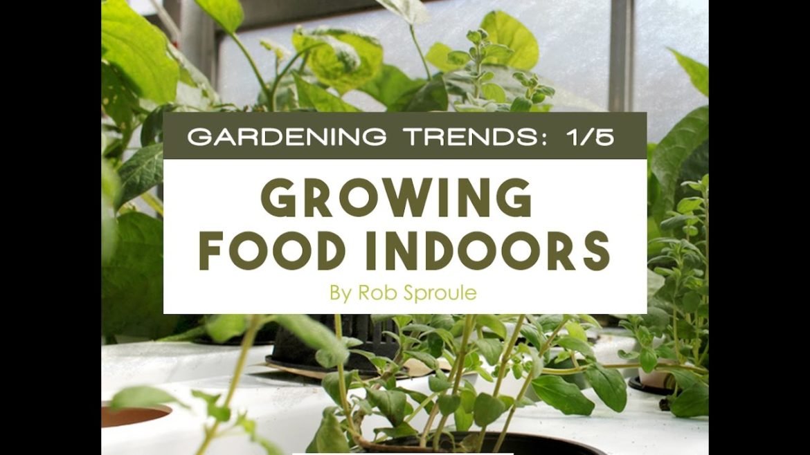 Gardening Trends 2017, 1/5: Growing Food Indoors  |  Salisbury Greenhouse