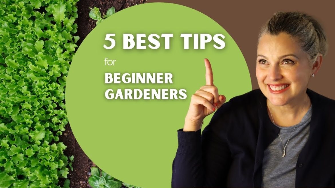 BEGINNER GARDENERS! Here are my 5 BEST VEGETABLE GARDENING TIPS for beginners living in Houston TX BEGINNER GARDENERS! Here are my 5 BEST VEGETABLE GARDENING TIPS for beginners living in Houston TX