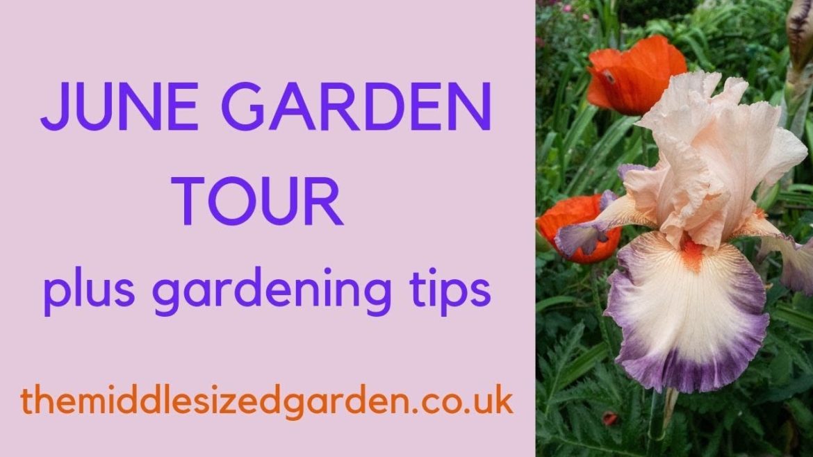 June garden tour plus June gardening tips… June garden tour plus June gardening tips...