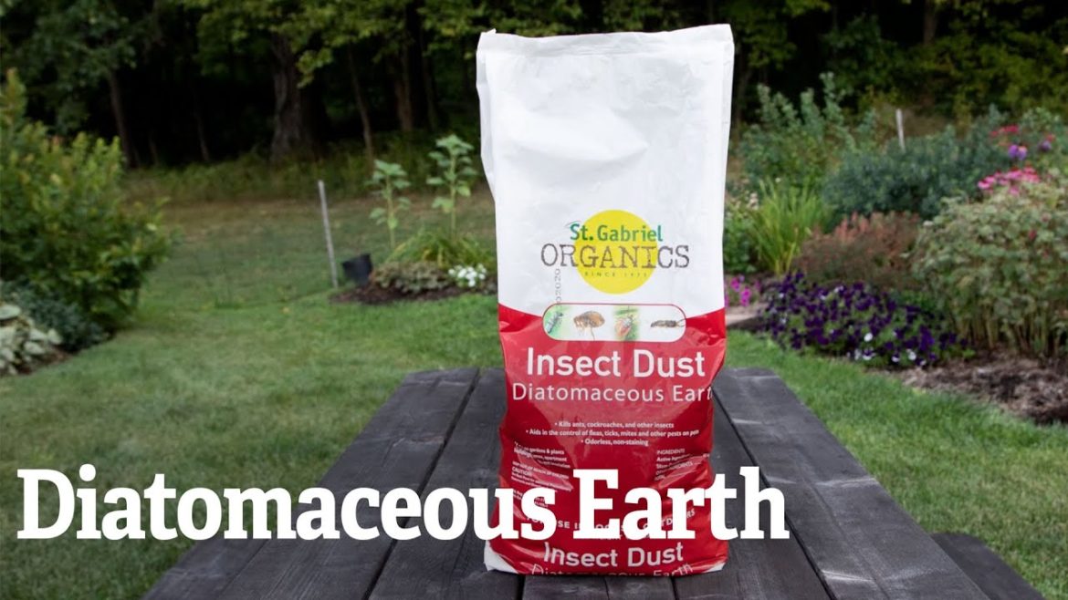 Diatomaceous Earth | Gardener's Supply Diatomaceous Earth | Gardener's Supply