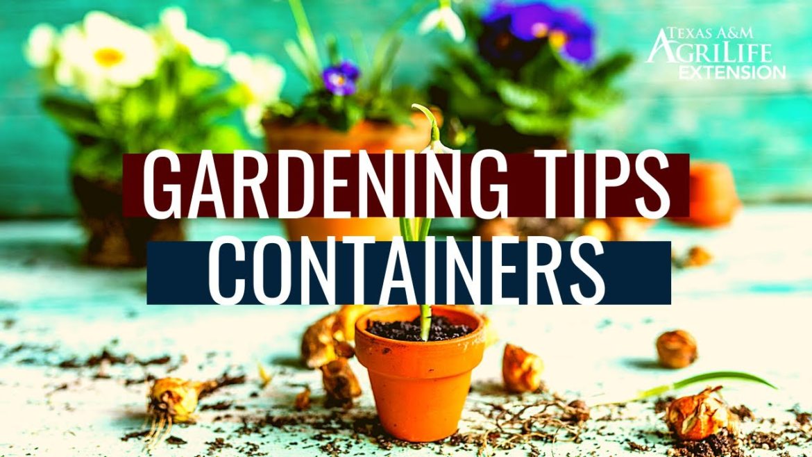 Gardening Tips: Containers