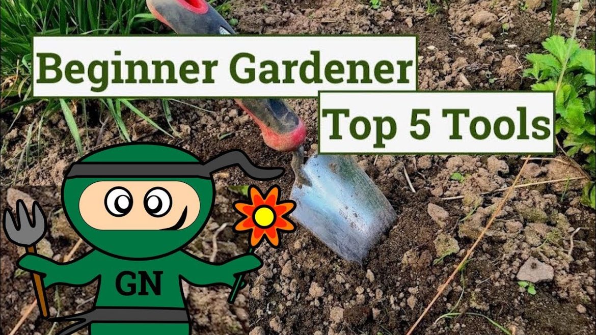 Beginner Gardening Tools to Start Gardening