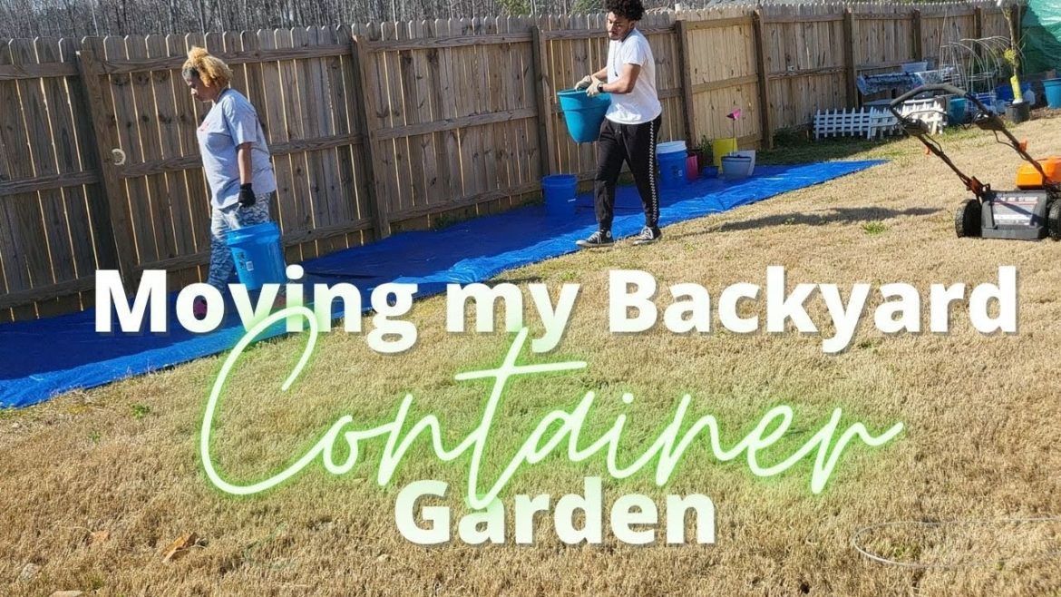 Moving my Backyard Container Garden | Plus Shop with Me! | This is gonna be a LOT of Work! Moving my Backyard Container Garden | Plus Shop with Me! | This is gonna be a LOT of Work!