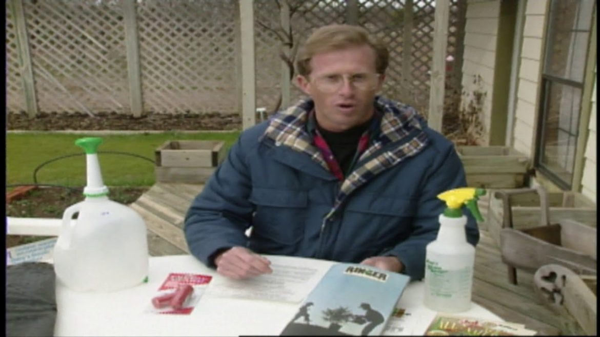 New Gardening Products