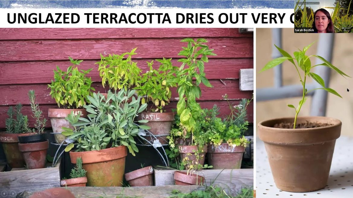 Edible Gardening: Watering Your Garden (webinar series)