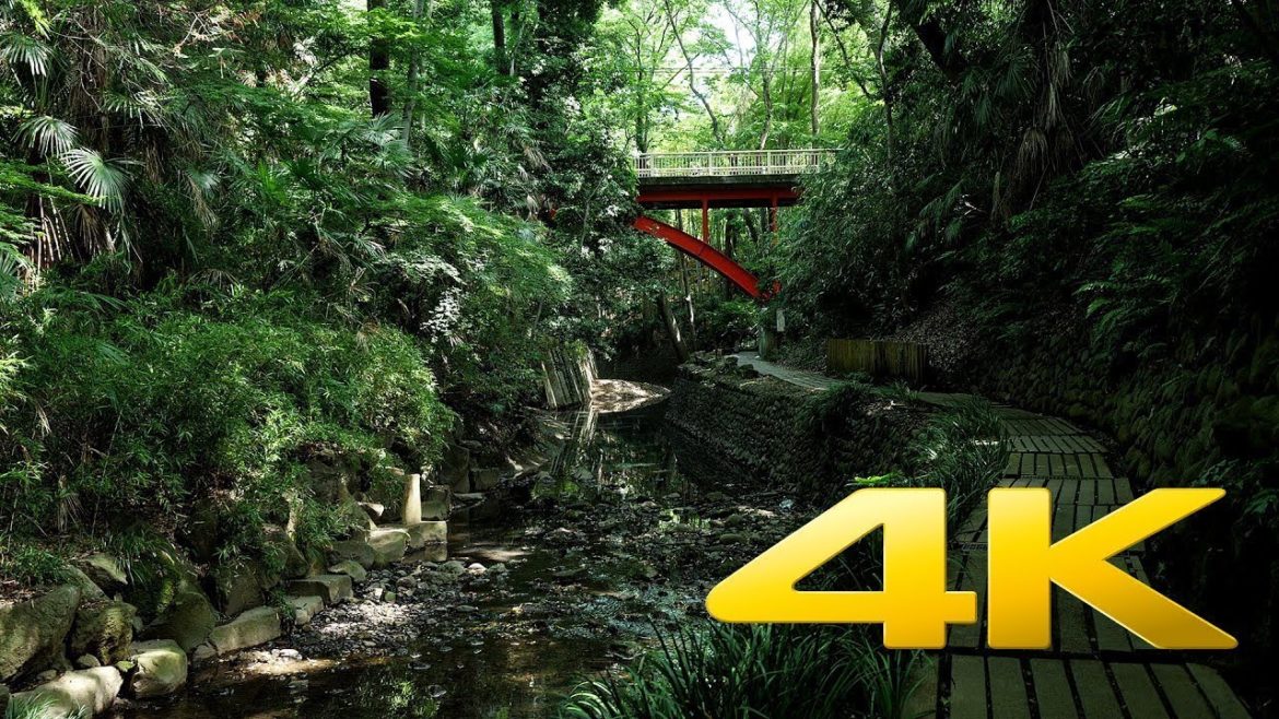 Japan's Secret Water garden David Attenborough HD Documentary Japan's Secret Water garden David Attenborough HD Documentary