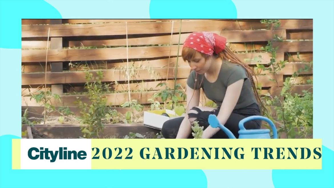 7 gardening searches that are trending online