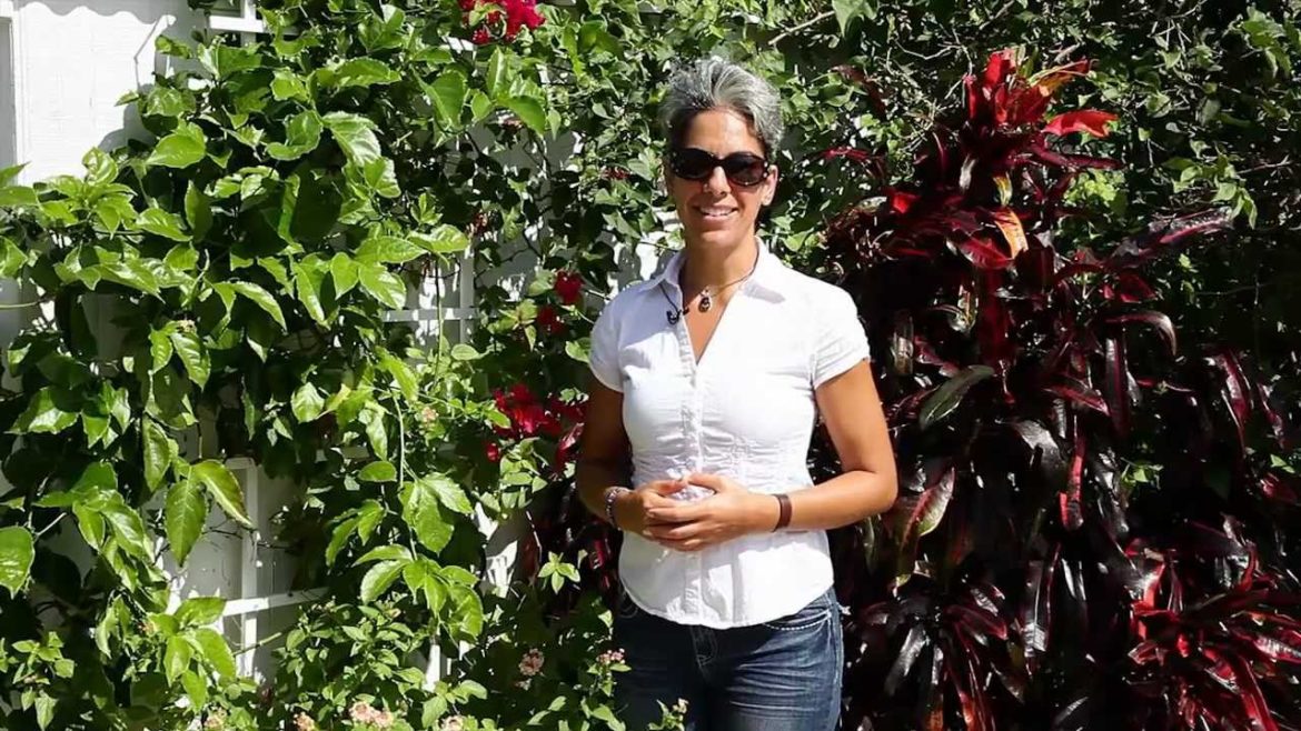 Herb Garden Plans & Designs