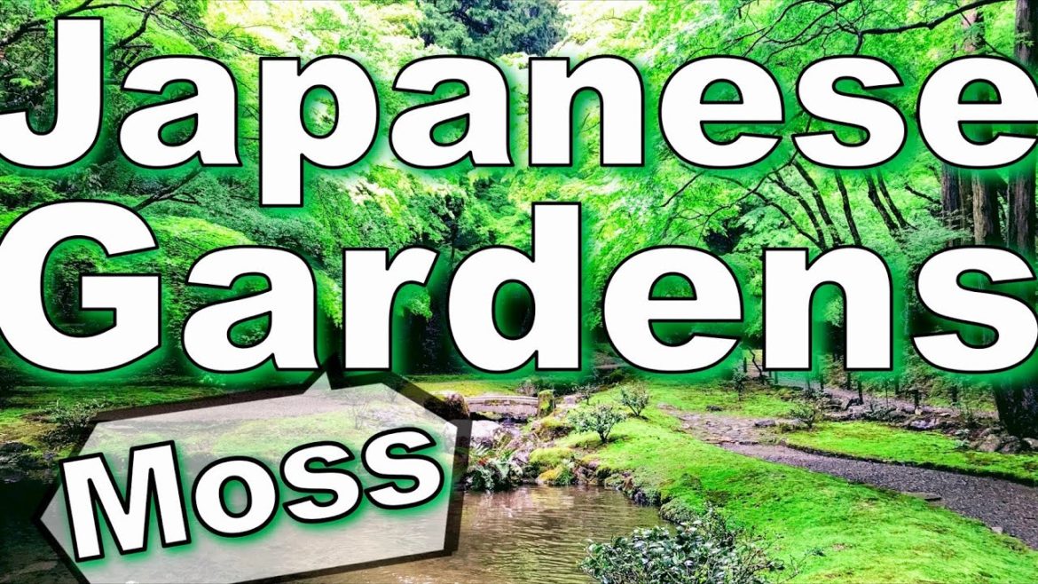 Japanese Garden (Moss garden) Japanese Garden (Moss garden)