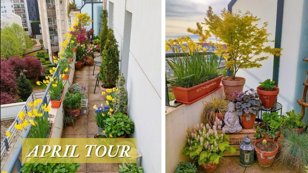 My Container Garden in April | Balcony Tour
