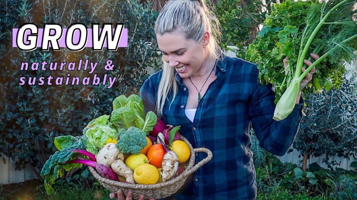 Harvesting from my Sustainable Urban Permaculture Garden // July Edible Garden Harvesting from my Sustainable Urban Permaculture Garden // July Edible Garden