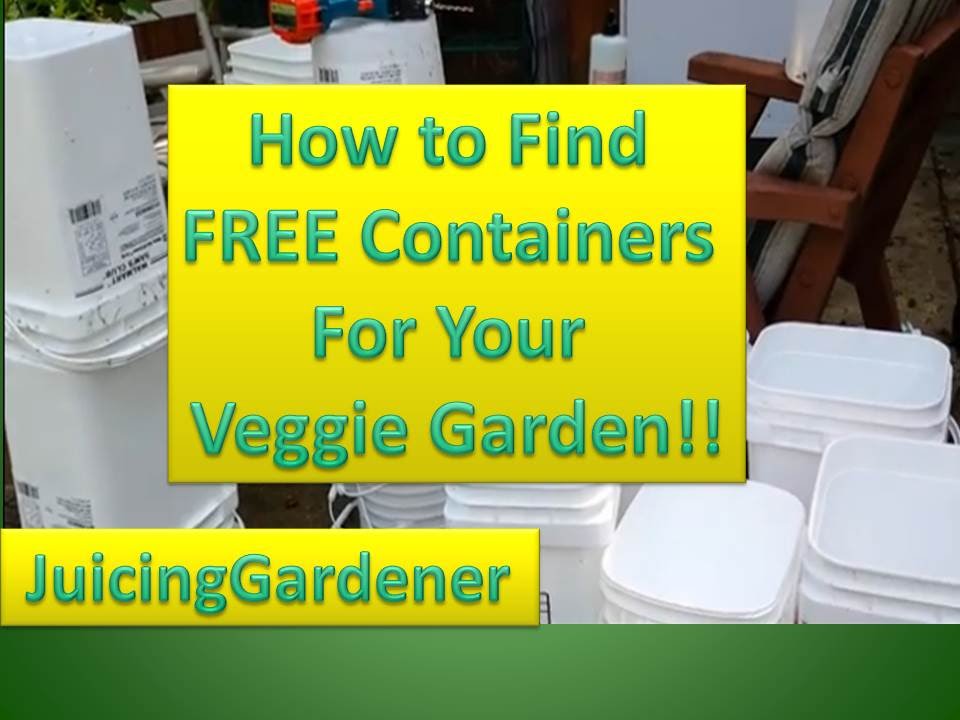 Container Garden Ideas – How To Find FREE Containers For Your Vegetable Garden Container Garden Ideas - How To Find FREE Containers For Your Vegetable Garden