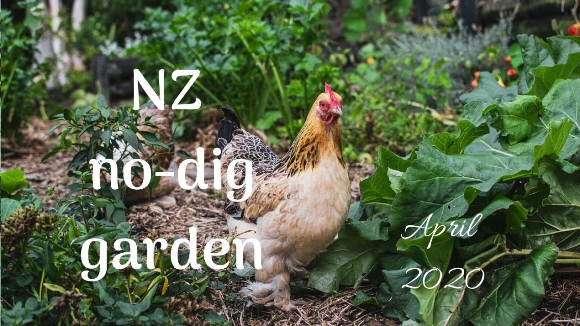 Early April No Dig Garden Update (Edible Garden NZ Autumn 2020)
