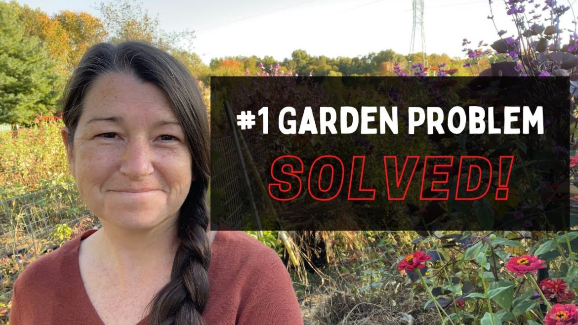 Answer to BIGGEST Gardening Problem!! | Homestead and Garden Tips Answer to BIGGEST Gardening Problem!! | Homestead and Garden Tips