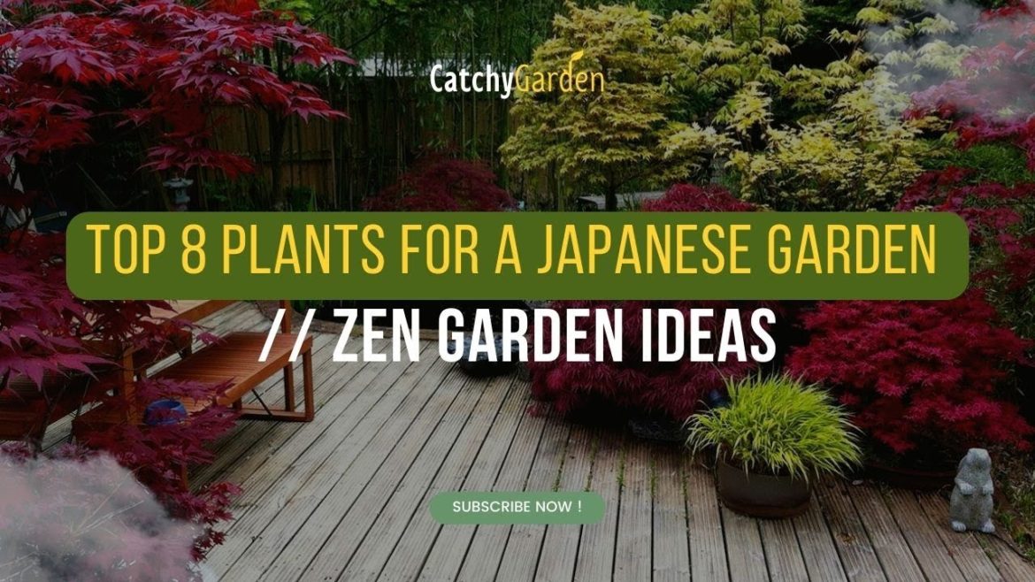 Top 8 Plants for a Japanese Garden // Zen Garden Ideas ๐ธ๐ฟ Top 8 Plants for a Japanese Garden // Zen Garden Ideas ๐ธ๐ฟ