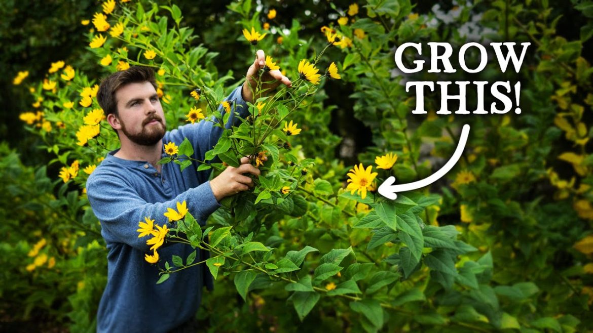 Huw Richards: 7 Underrated Crops Perfect for Self-Sufficiency! 7 Underrated Crops Perfect for Self-Sufficiency!