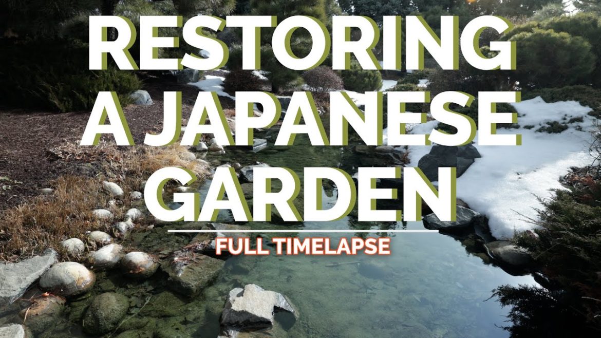 Renovating a HUGE Japanese Garden || FULL Timelapse HD Renovating a HUGE Japanese Garden || FULL Timelapse HD