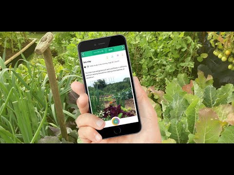 Journal Your Vegetable Gardening Progress Journal Your Vegetable Gardening Progress