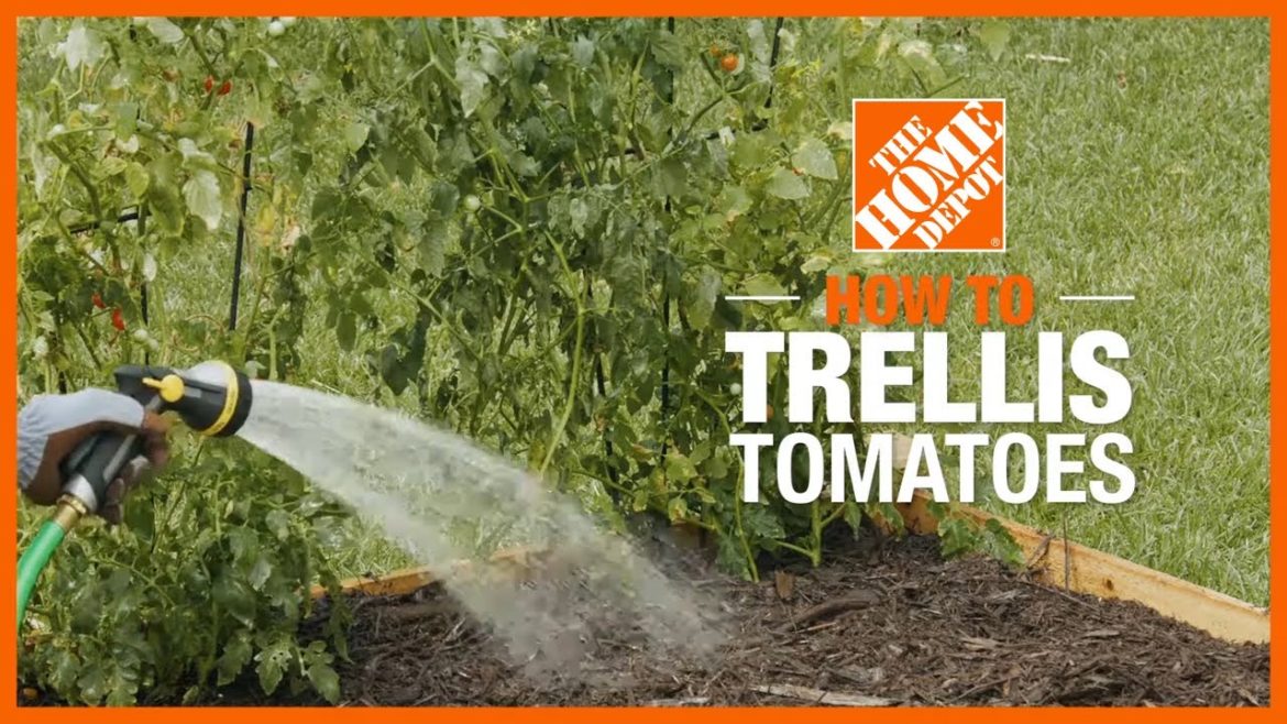 How to Trellis Tomatoes | Edible Gardening | The Home Depot