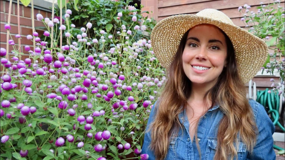 “Obvious” Container Garden Tips I Didn't Know When I Started Gardening "Obvious" Container Garden Tips I Didn't Know When I Started Gardening