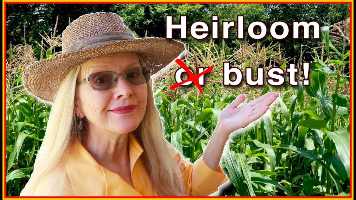 What I learned about growing food for survival this year