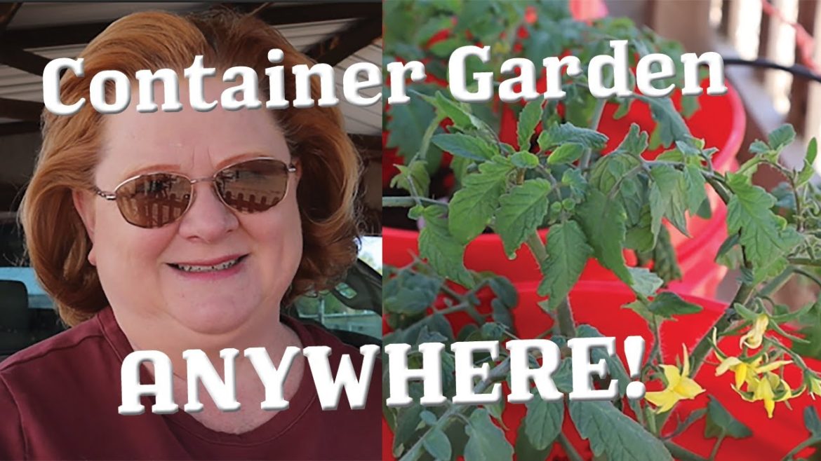 CONTAINER GARDENING ANYWHERE! Start where you are! CONTAINER GARDENING ANYWHERE! Start where you are!
