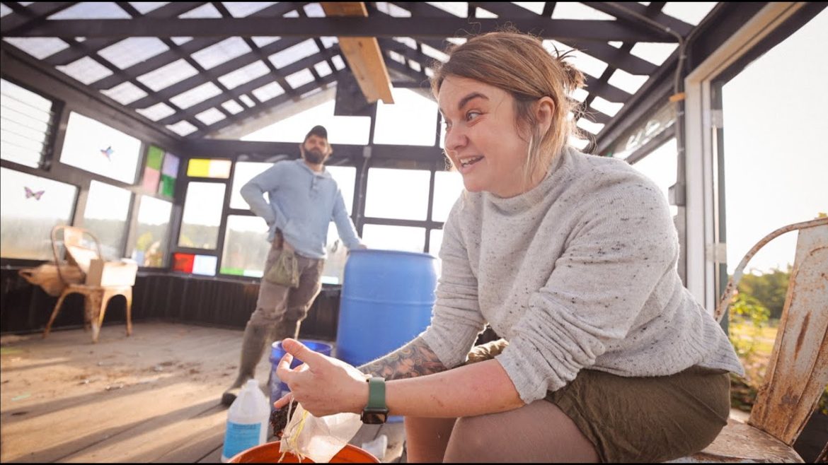 Making Compost Tea for Healthy Soil & Healthy Plants