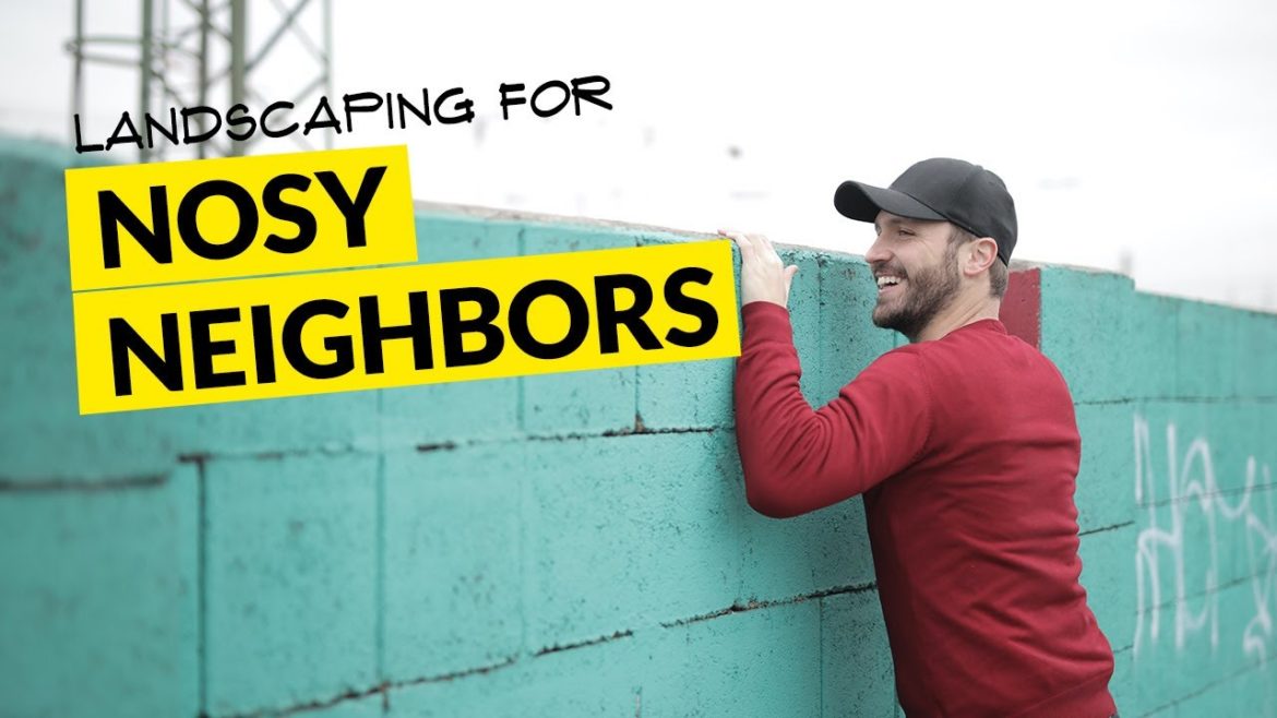 Landscaping Tips for Backyard Privacy