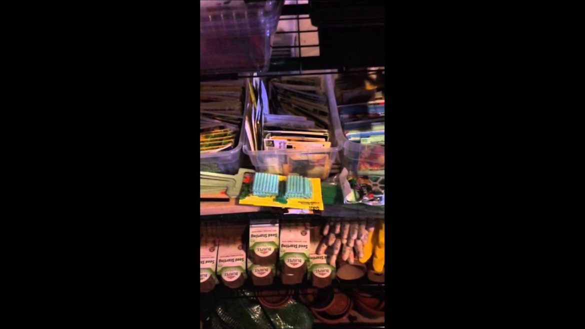 Seed Collection - Garden Supply Winter Storage - Gardening