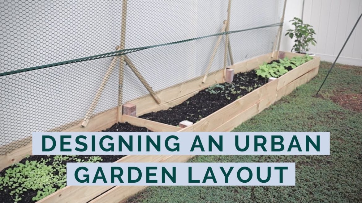 Choosing a Vegetable Garden Layout | Urban Vegetable Gardening for Beginners Choosing a Vegetable Garden Layout | Urban Vegetable Gardening for Beginners